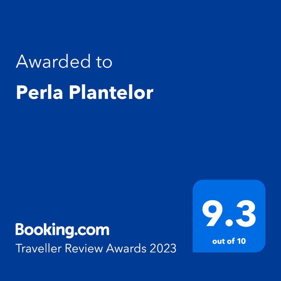 Perla Plantelor Daire Bükreş Dış mekan fotoğraf