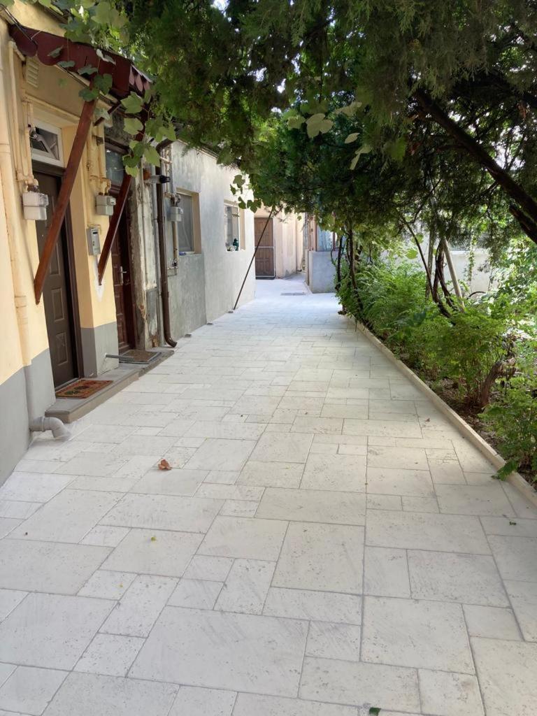 Perla Plantelor Daire Bükreş Dış mekan fotoğraf