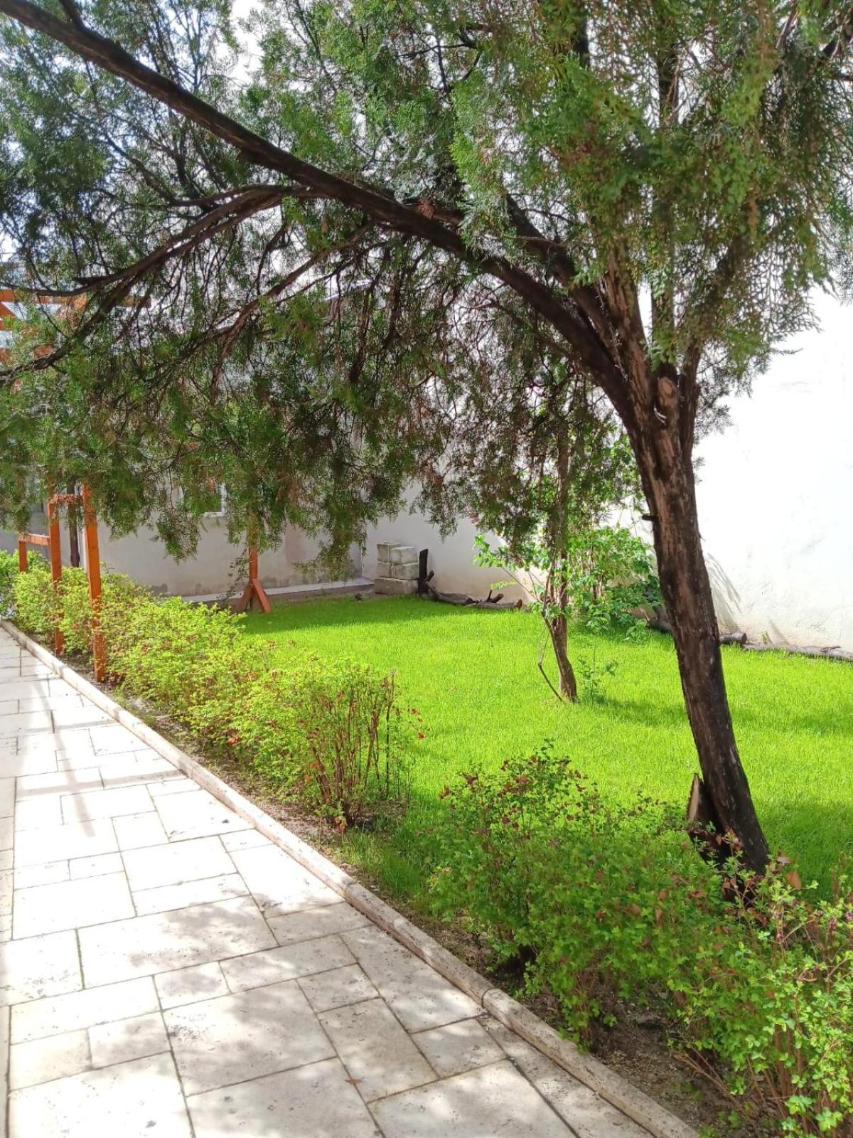 Perla Plantelor Daire Bükreş Dış mekan fotoğraf