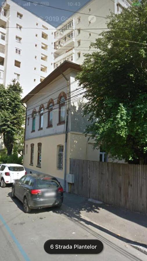 Perla Plantelor Daire Bükreş Dış mekan fotoğraf